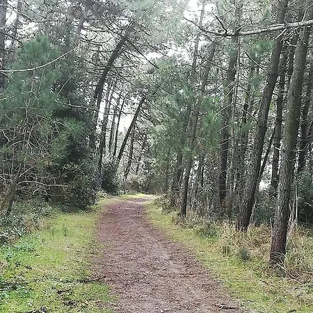 Bilocale Διαμέρισμα *